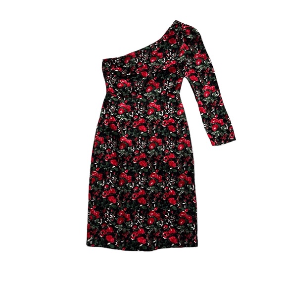 Club Monaco Red Rose Floral Velvet One Sleeve Sheath Dress Fancy Party Women’s 0 - Picture 1 of 12